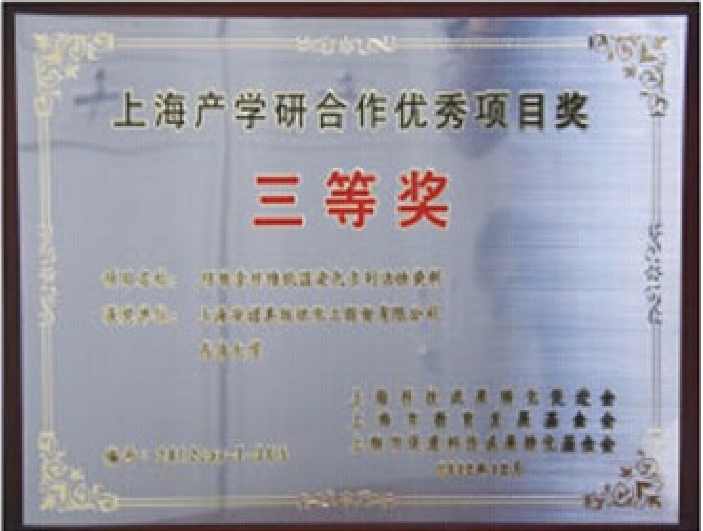 Shanghai excellent industry-universlty-research project